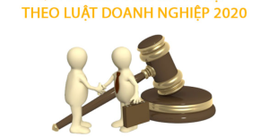 Điều 8 Luật Doanh nghiệp 2020