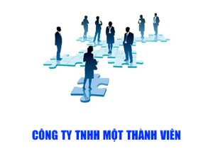 Quy định về công ty TNHH 1 thành viên