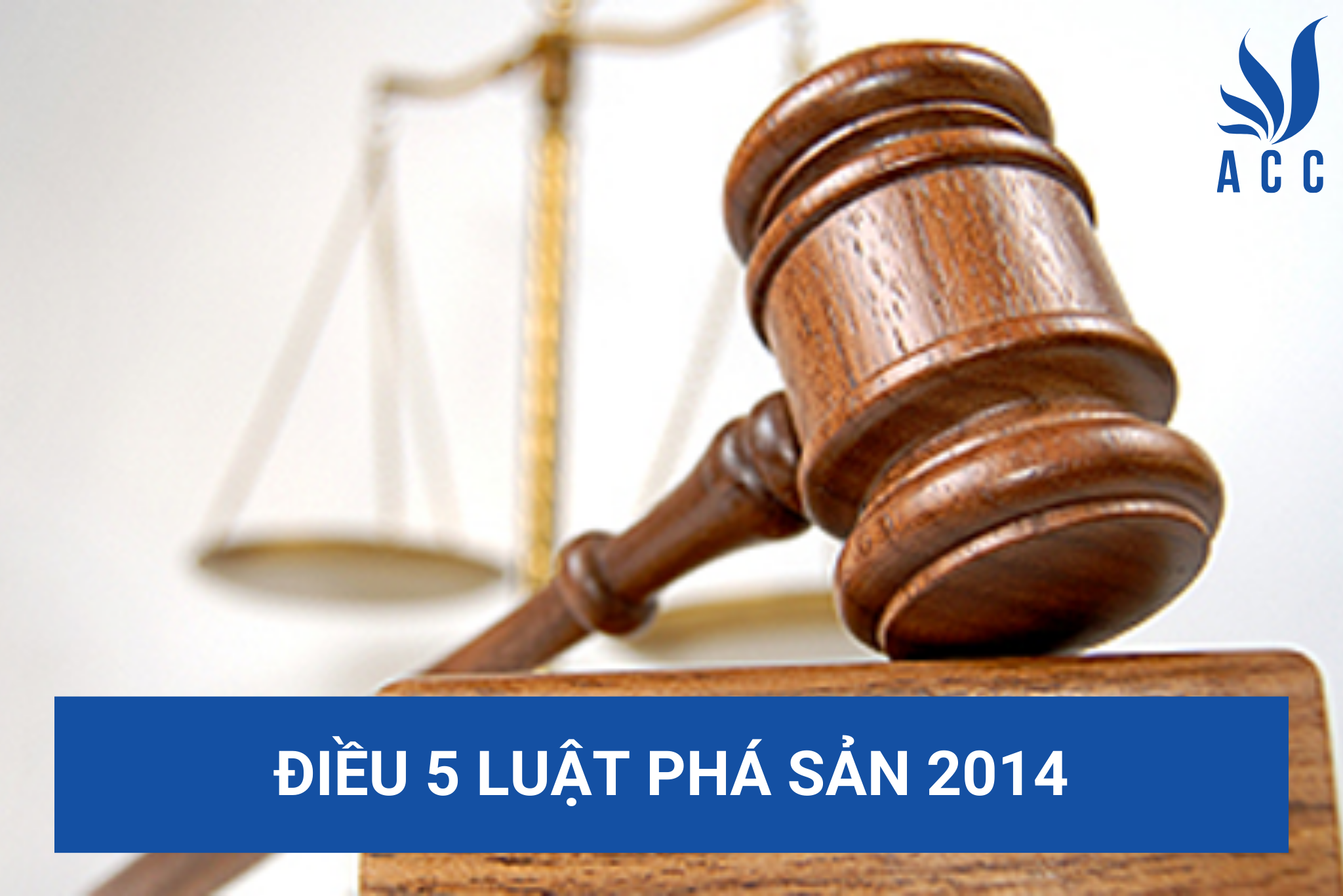 Điều 5 Luật phá sản 2014