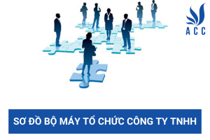 Sơ đồ bộ máy tổ chức công ty TNHH