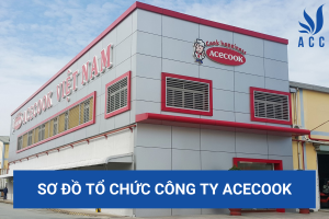 Sơ đồ tổ chức công ty Acecook