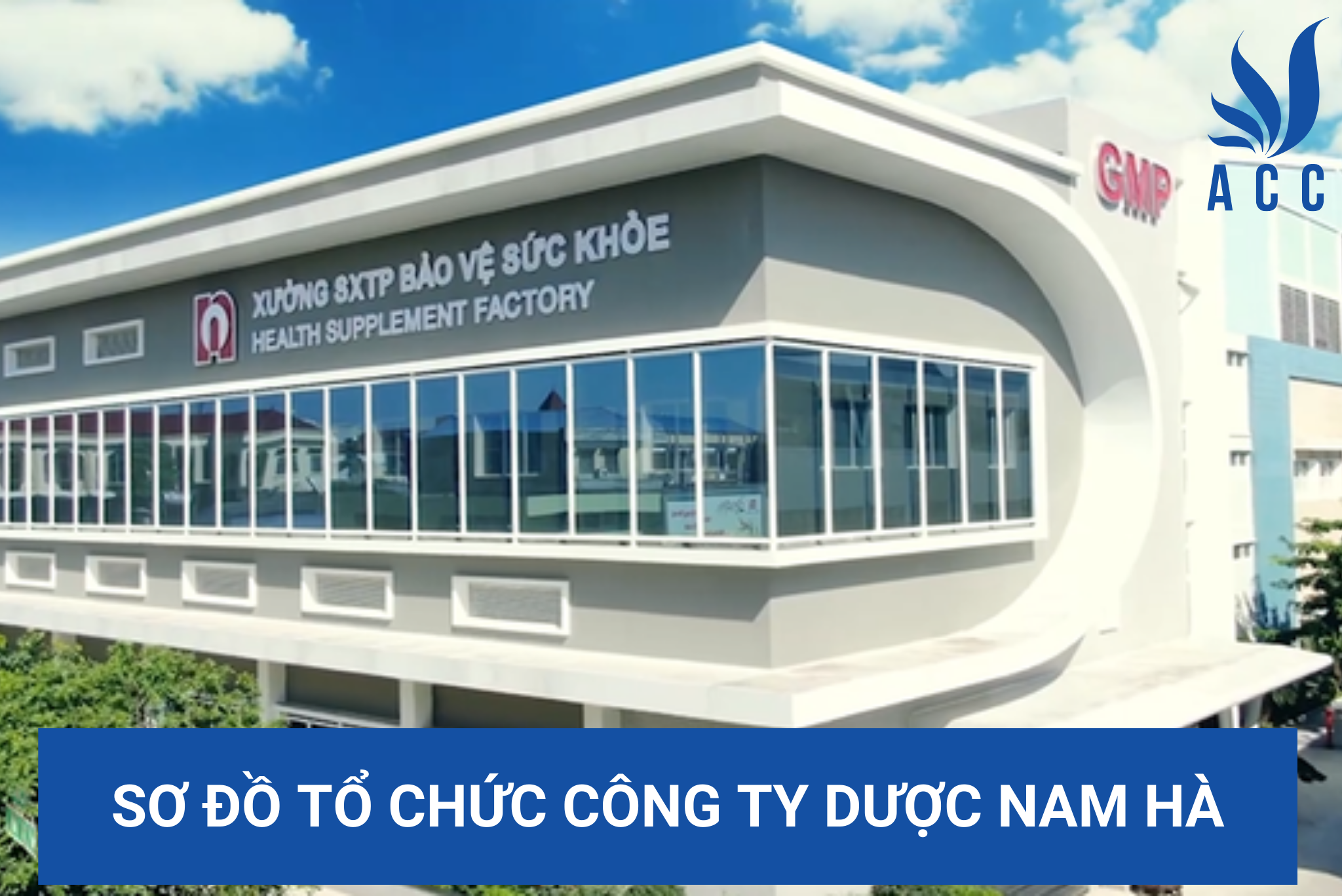 Sơ đồ tổ chức công ty Dược Nam Hà