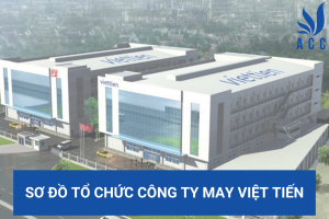 Sơ đồ tổ chức công ty may Việt Tiến