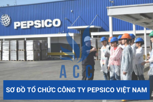 Sơ đồ tổ chức công ty Pepsico Việt Nam