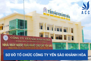 Sơ đồ tổ chức công ty Yến sào Khánh Hòa