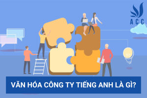 Văn hóa công ty tiếng anh là gì?
