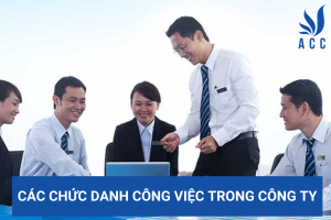 Các chức danh công việc trong công ty
