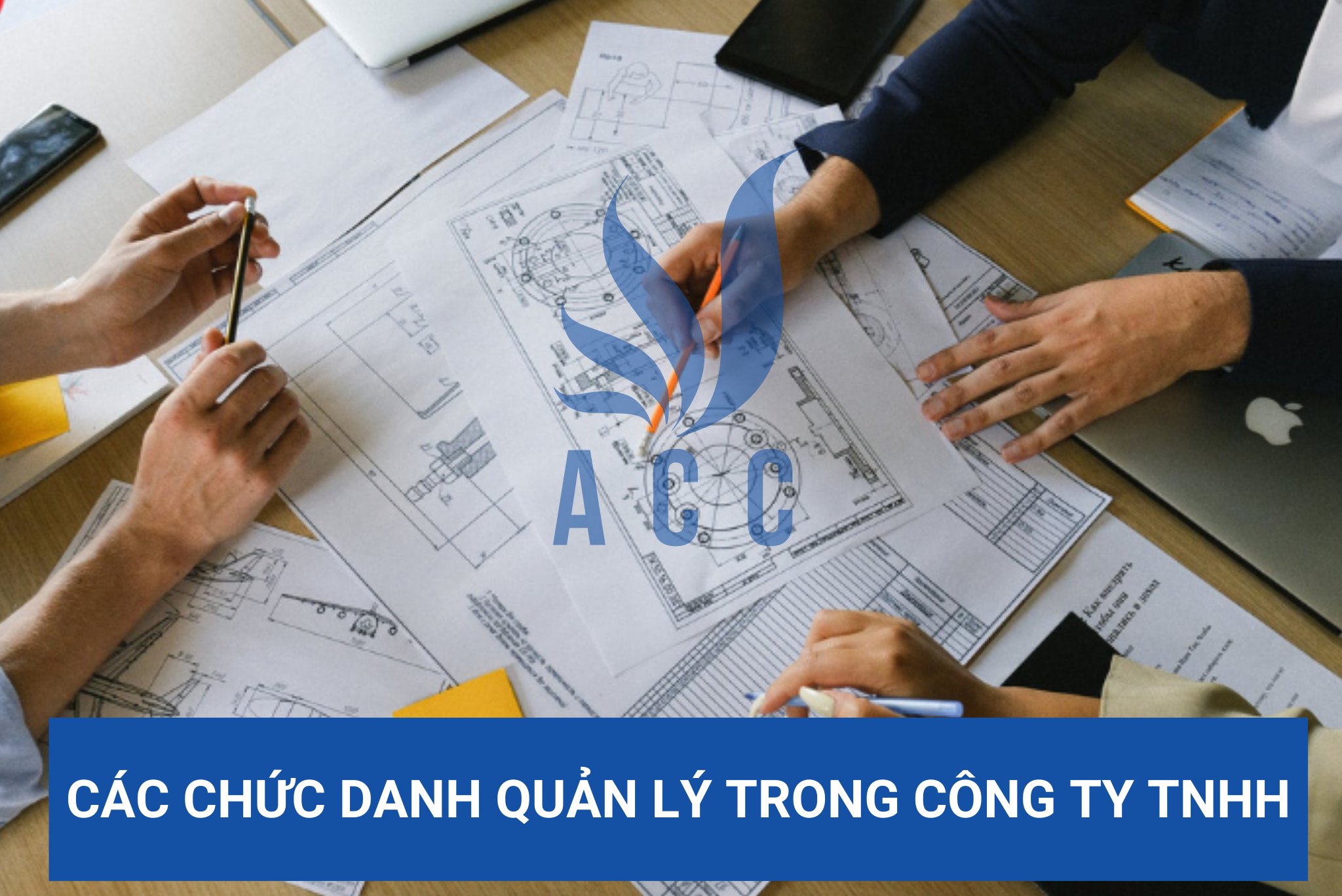 Các chức danh quản lý trong công ty TNHH