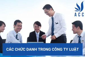 Các chức danh trong công ty luật