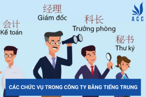Các chức vụ trong công ty bằng tiếng Trung