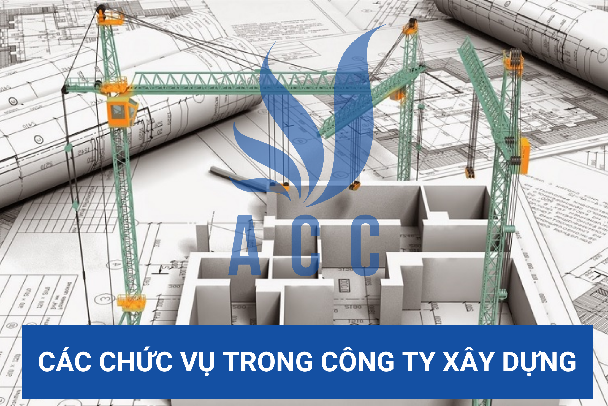 Các chức vụ trong công ty xây dựng