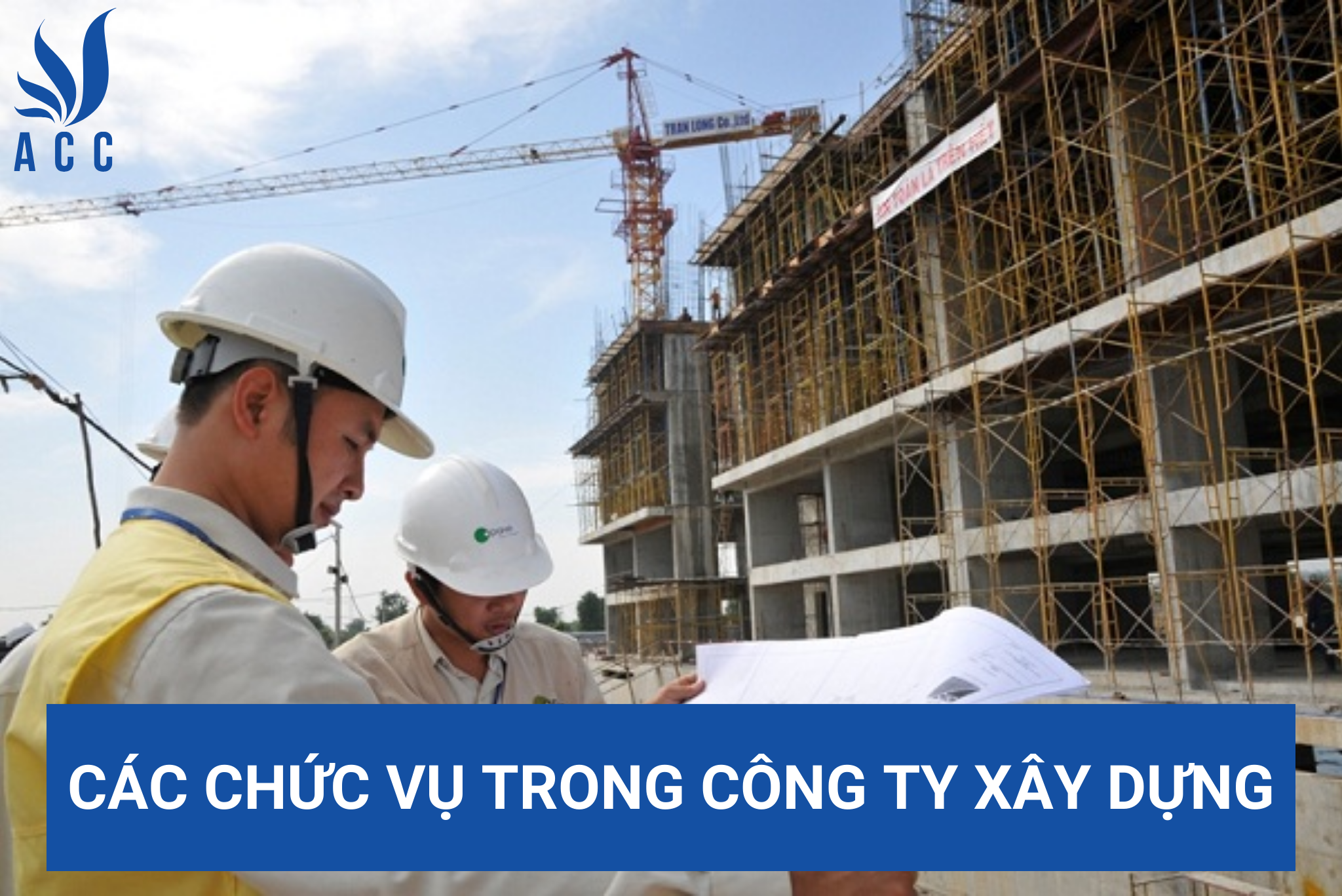 Các chức vụ trong công ty xây dựng
