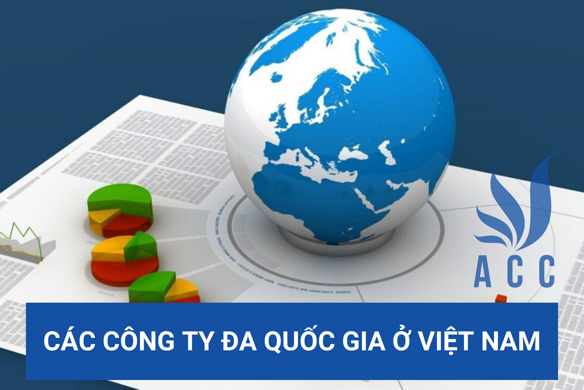 Các công ty đa quốc gia ở Việt Nam