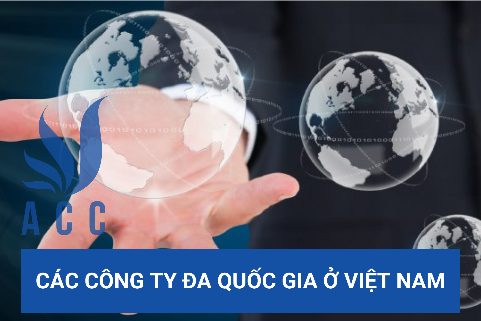 Các công ty đa quốc gia ở Việt Nam