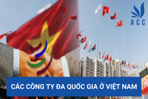 Các công ty đa quốc gia ở Việt Nam