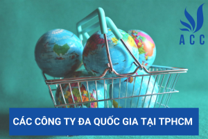 Các công ty đa quốc gia tại TPHCM