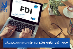 Các doanh nghiệp FDI lớn nhất Việt Nam