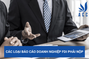 Các loại báo cáo doanh nghiệp FDI phải nộp