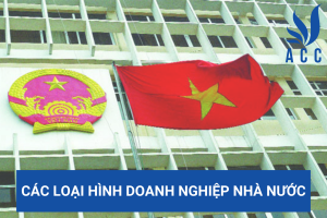 Các loại hình doanh nghiệp nhà nước