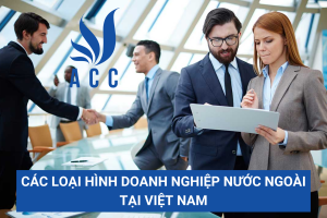 Các loại hình doanh nghiệp nước ngoài tại Việt Nam