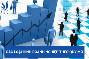 Các loại hình doanh nghiệp theo quy mô
