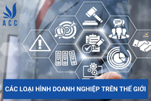 Các loại hình doanh nghiệp trên thế giới