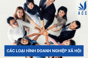 Các loại hình doanh nghiệp xã hội