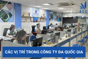 Các vị trí trong công ty đa quốc gia