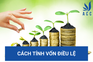 Cách tính vốn điều lệ