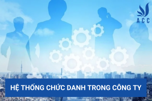 Hệ thống chức danh trong công ty