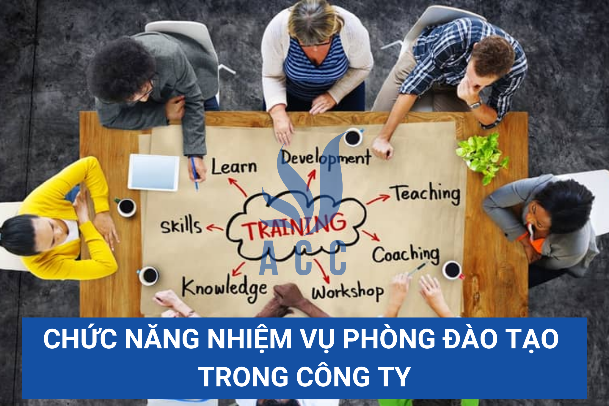 Chức năng nhiệm vụ phòng đào tạo trong công ty