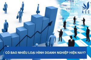 Có bao nhiêu loại hình doanh nghiệp hiện nay?