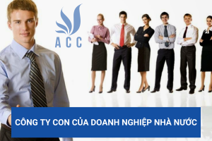 Công ty con của doanh nghiệp nhà nước