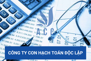 Công ty con hạch toán độc lập