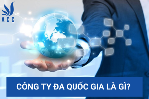 Công ty đa quốc gia là gì? (Cập nhật chi tiết 2023)