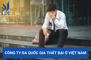Công ty đa quốc gia thất bại ở Việt Nam