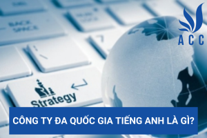 Công ty đa quốc gia tiếng Anh là gì?