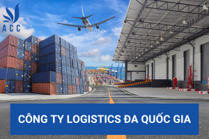 Công ty Logistics đa quốc gia