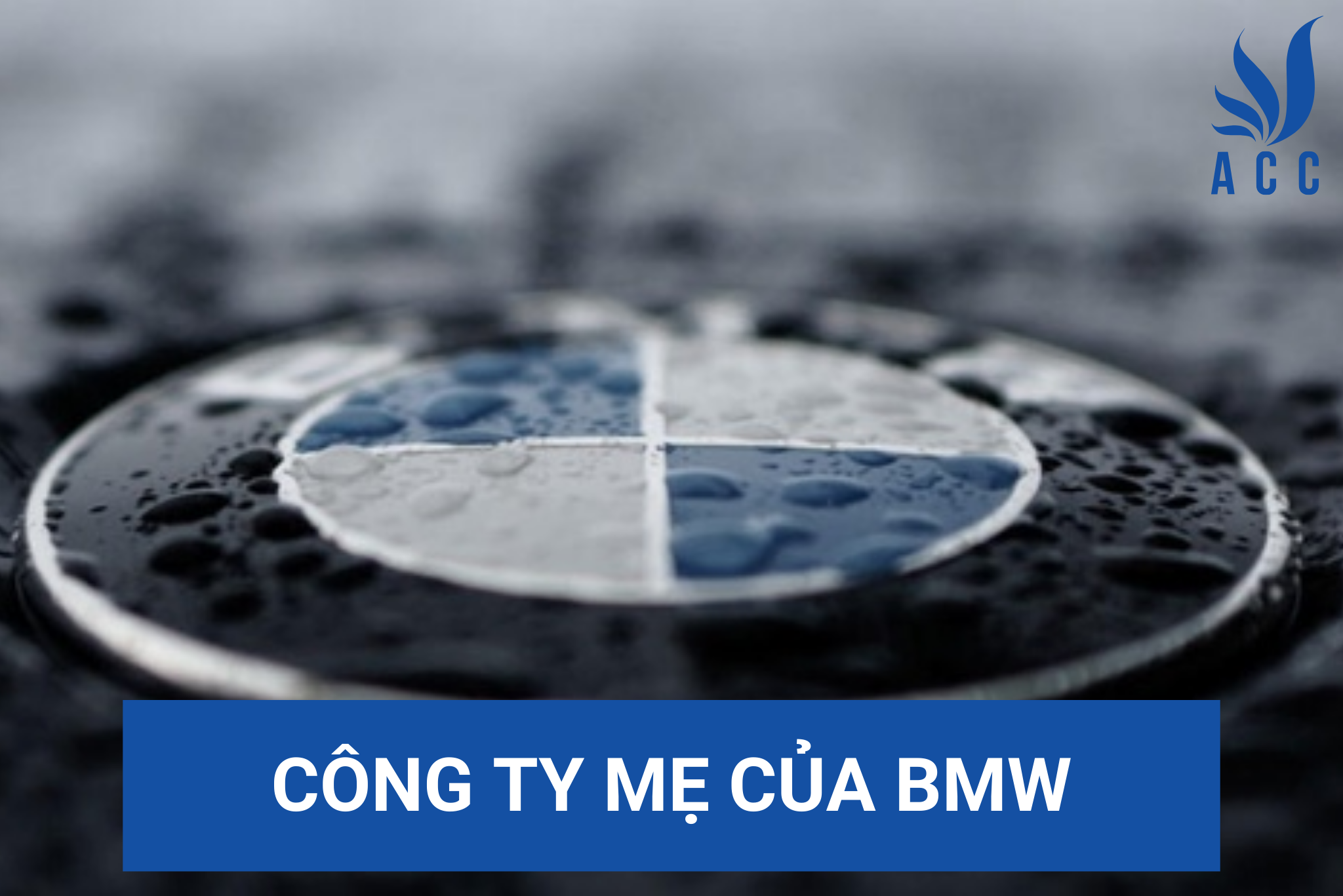 Công ty mẹ của BMW
