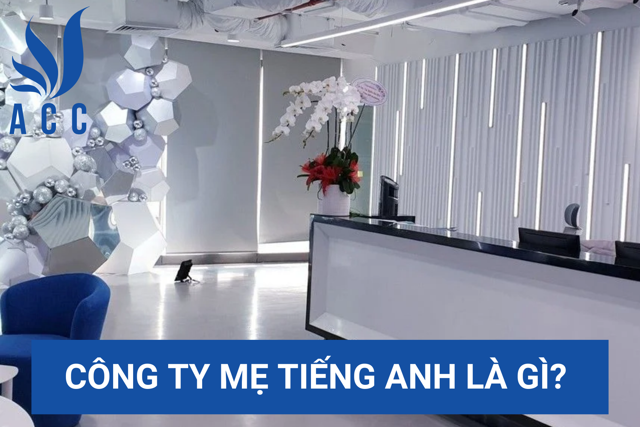 Công ty mẹ tiếng Anh là gì? (Cập nhật chi tiết 2023)