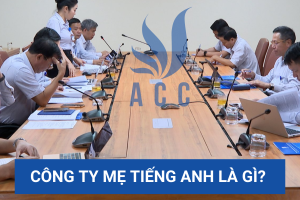 Công ty mẹ tiếng Anh là gì? (Cập nhật chi tiết 2023)