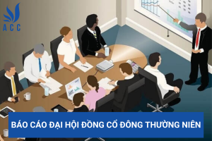 Báo cáo đại hội đồng cổ đông thường niên