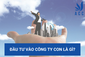 Đầu tư vào công ty con là gì?