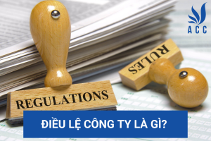 Điều lệ công ty là gì? (Chi tiết nhất 2023)