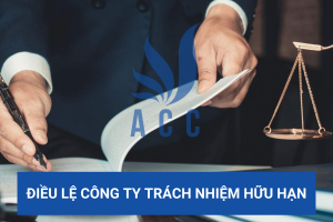 Điều lệ công ty trách nhiệm hữu hạn
