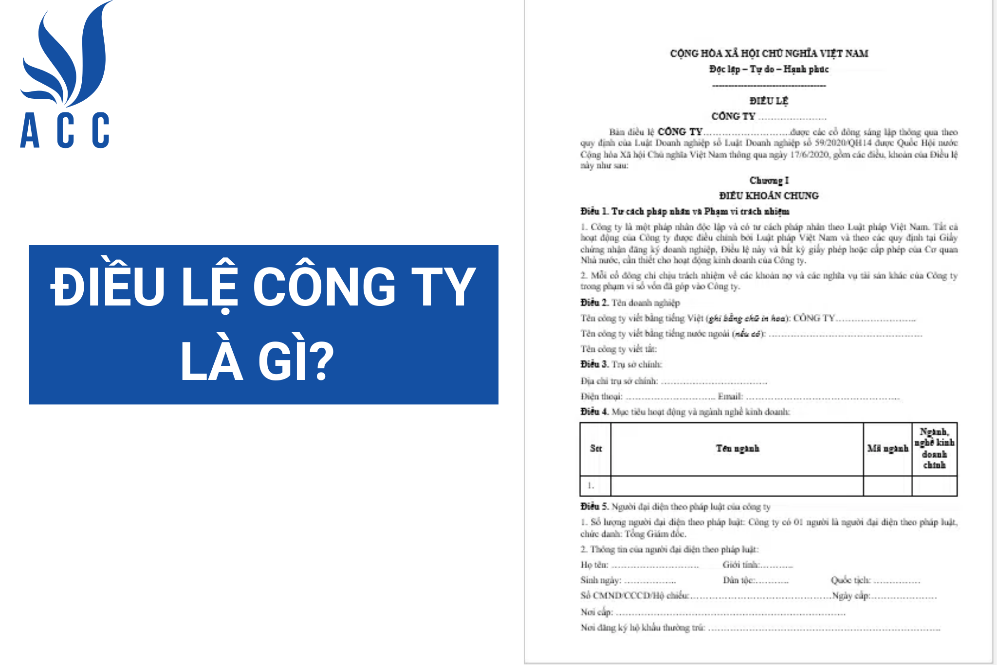 Điều lệ công ty là gì? (Chi tiết nhất 2023)