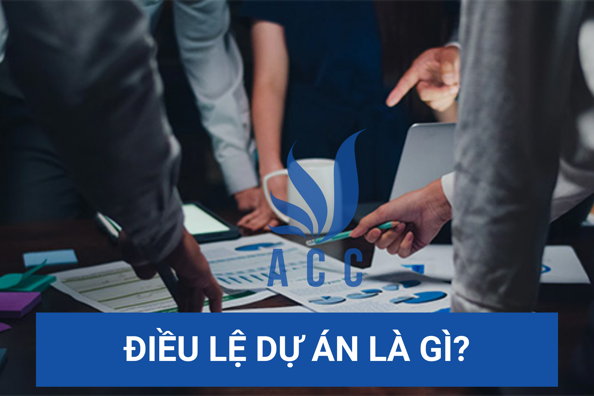 Điều lệ dự án là gì?