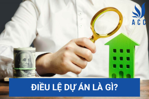 Điều lệ dự án là gì?