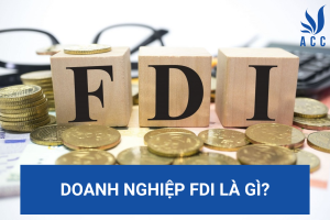 Doanh nghiệp FDI là gì?