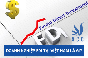 Doanh nghiệp FDI tại Việt Nam là gì?
